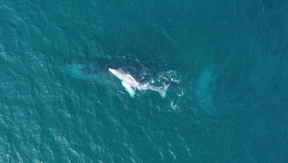 Les éclaireurs de l’eau – canal+